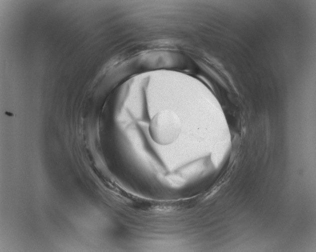 X0000054380154200508270016