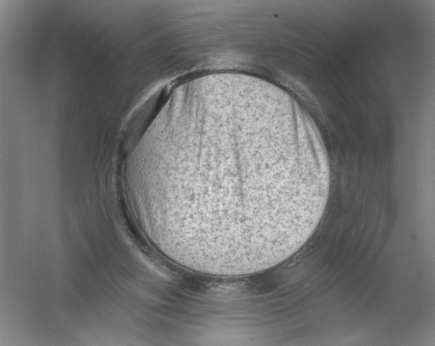 X0000054380155200508270017