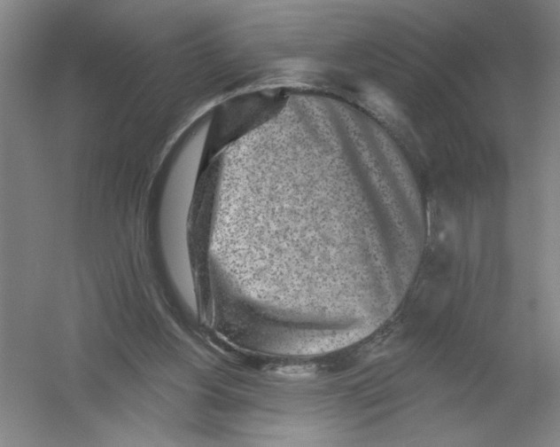 X0000054380156200508270017