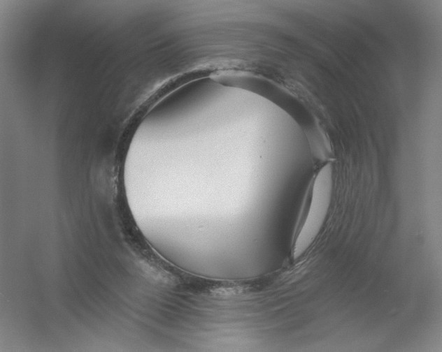 X0000054380160200508270017