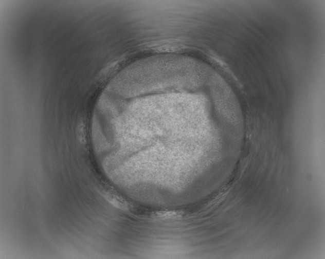 X0000054380161200508270017