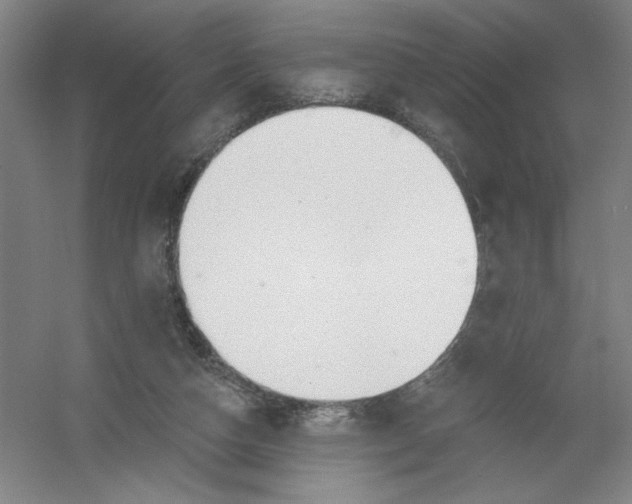 X0000054380162200508270017