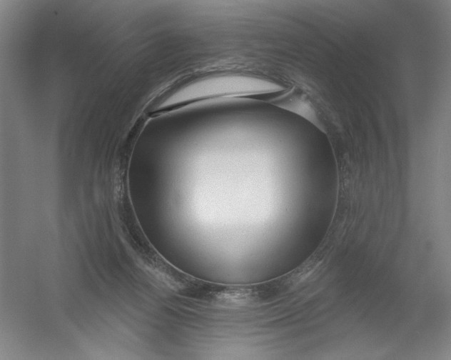 X0000054380164200508270017