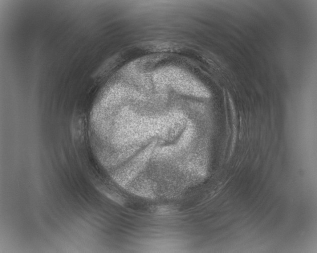 X0000054380165200508270017