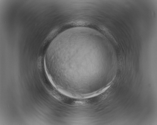 X0000054380167200508270017