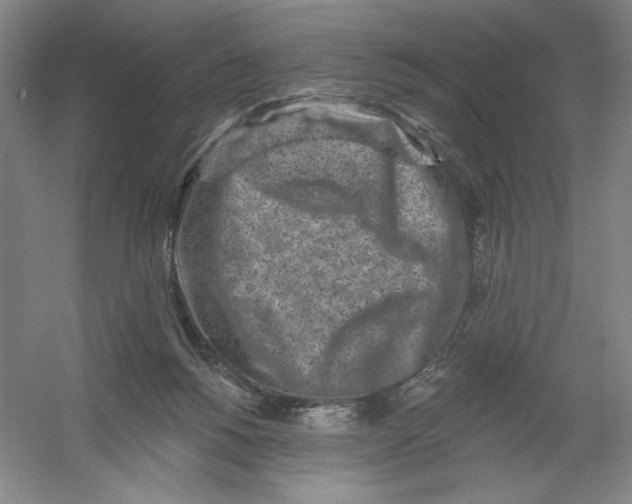 X0000054380168200508270017