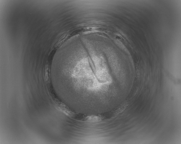 X0000054380169200508270017