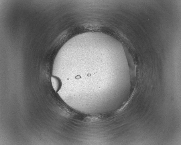 X0000054380170200508270017