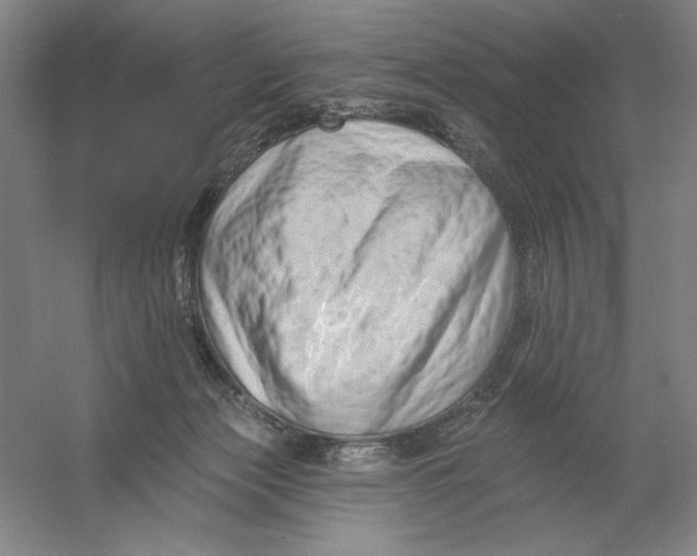 X0000054380173200508270017