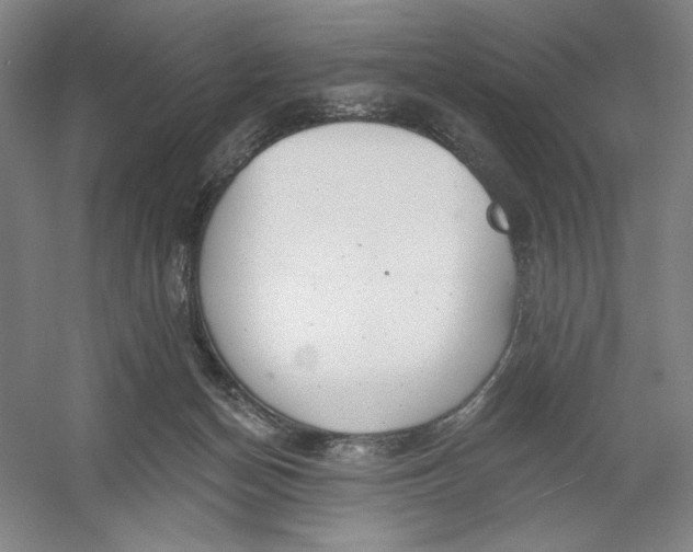 X0000054380174200508270017