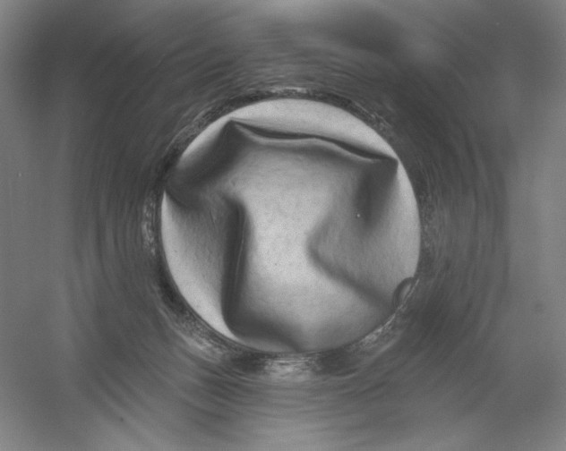 X0000054380175200508270017