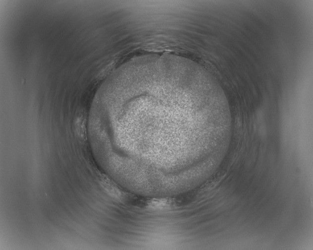 X0000054380177200508270017