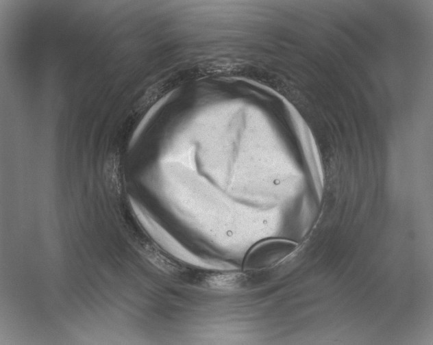 X0000054380178200508270017