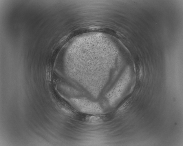 X0000054380180200508270017