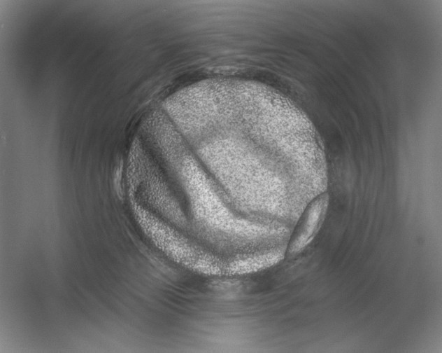 X0000054380181200508270017