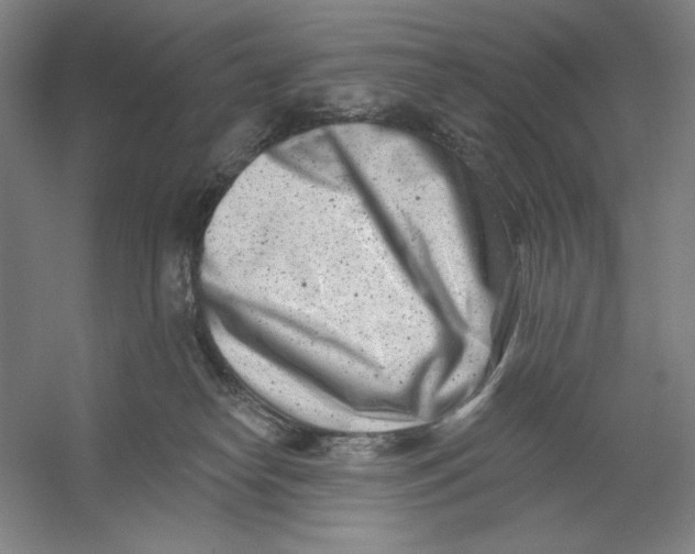 X0000054380182200508270017