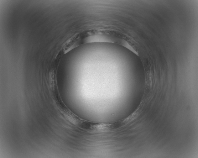 X0000054380184200508270017