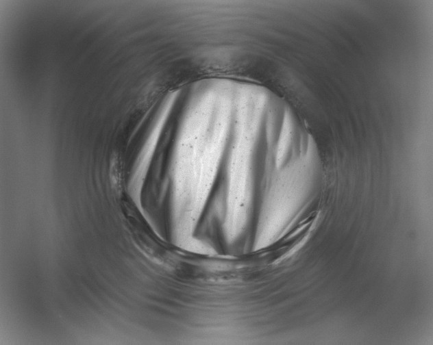 X0000054380186200508270017