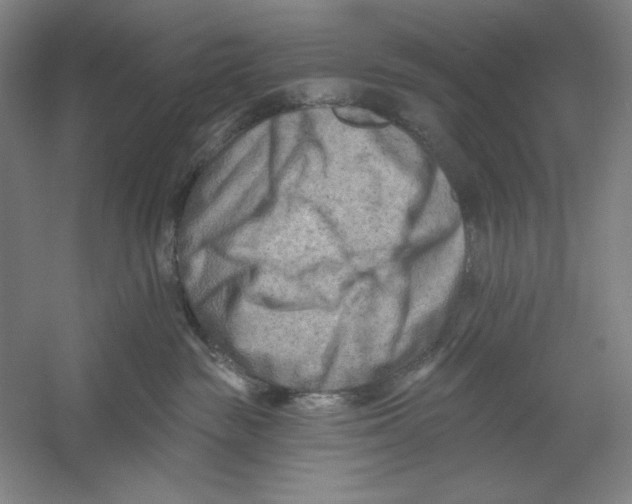 X0000054380189200508270017