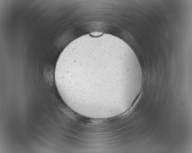 X0000054380190200508270017