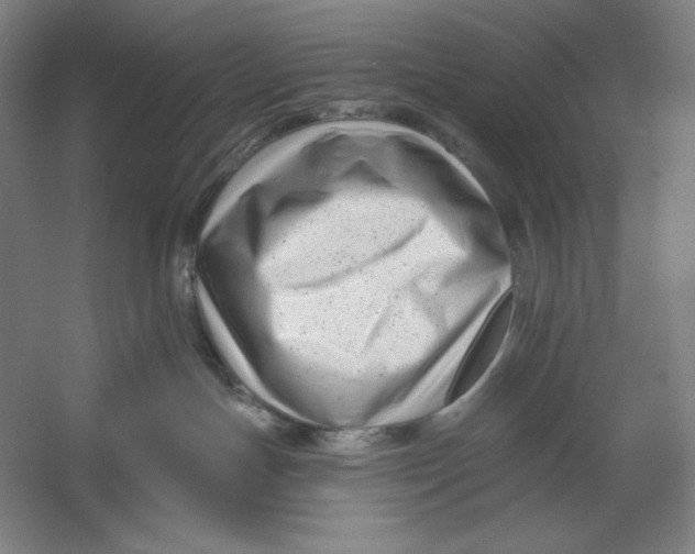 X0000054380191200508270017