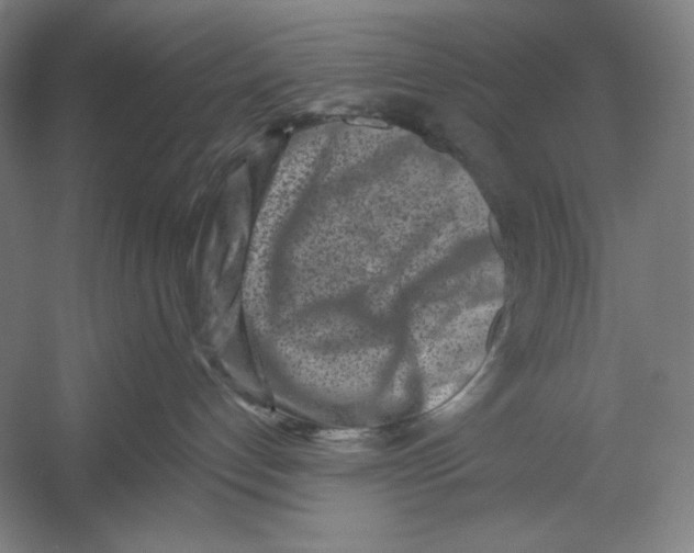 X0000054380192200508270017