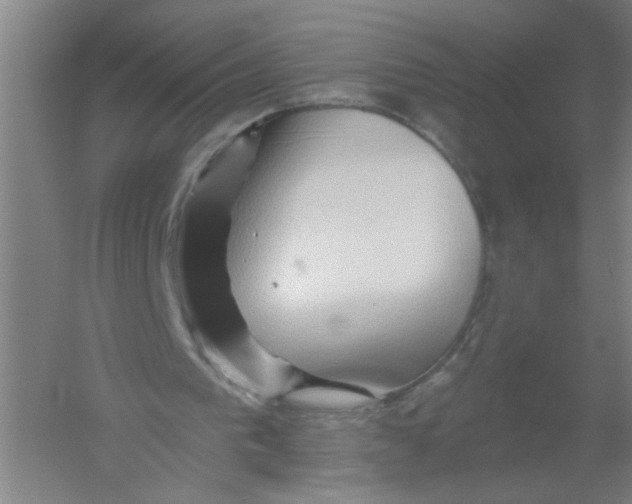 X0000054380193200508270016