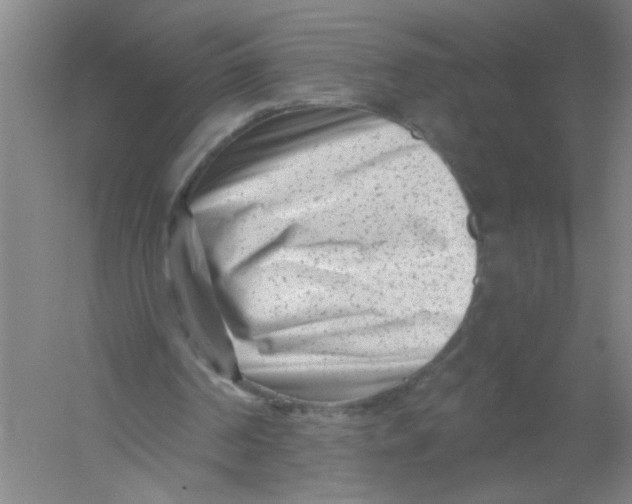 X0000054380194200508270016