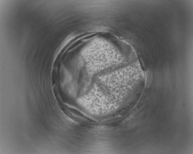 X0000054380195200508270016