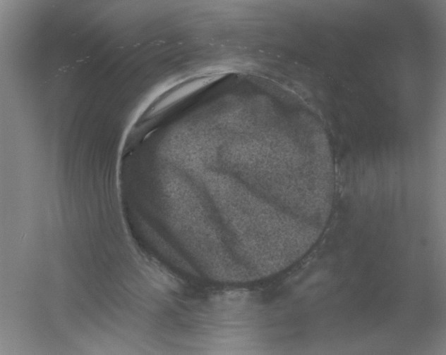 X0000054380196200508270016