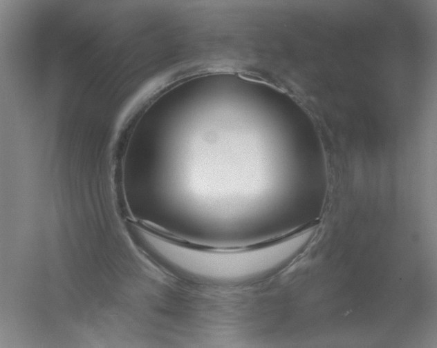 X0000054380197200508270016