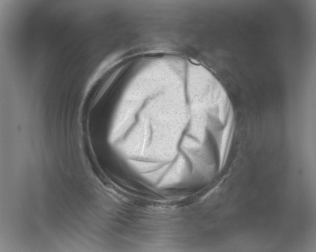 X0000054380198200508270016