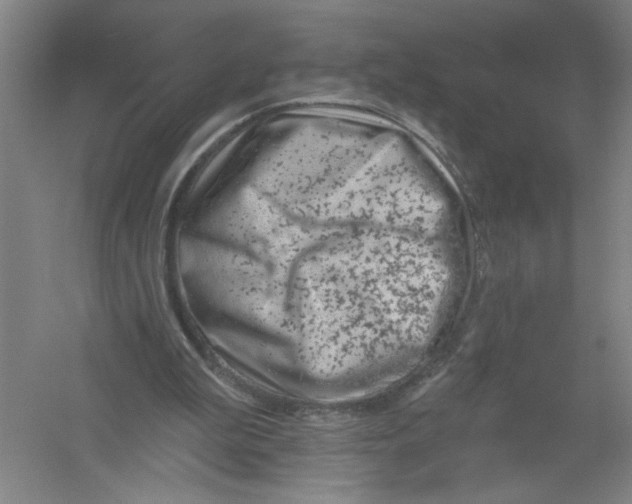 X0000054380199200508270016