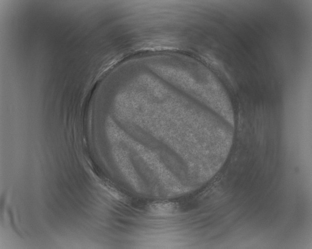 X0000054380202200508270016