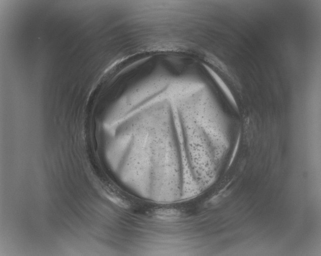 X0000054380203200508270016