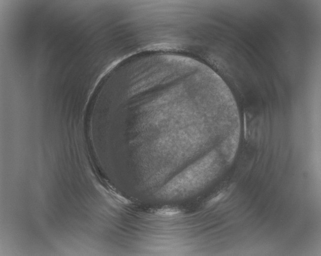 X0000054380204200508270016