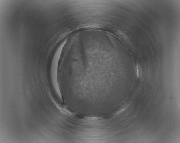 X0000054380205200508270016