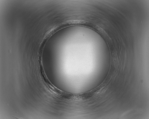 X0000054380207200508270016