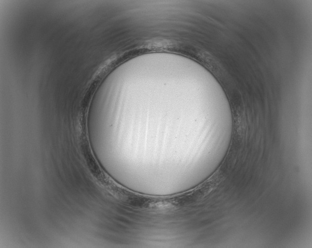 X0000054380208200508270016