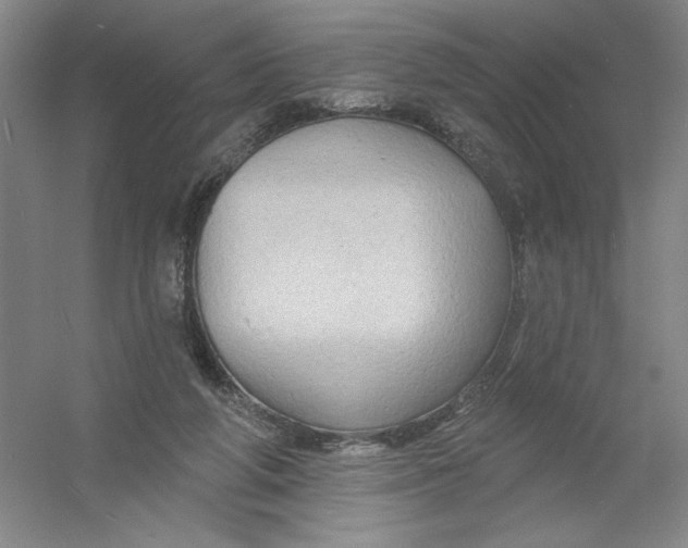 X0000054380210200508270016