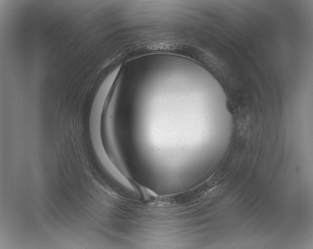 X0000054380211200508270016