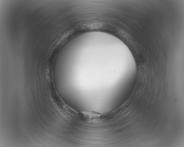 X0000054380212200508270016