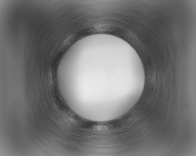 X0000054380220200508270016