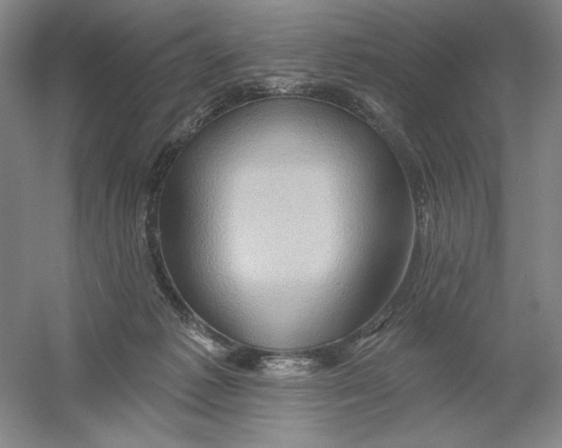 X0000054380221200508270016