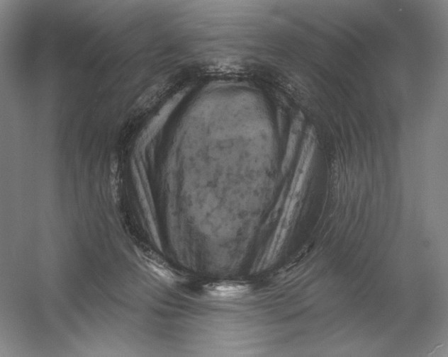 X0000054380223200508270016