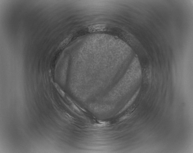 X0000054380224200508270016