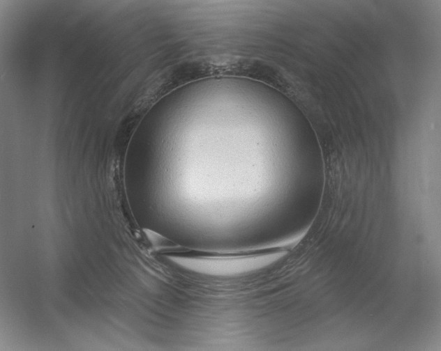 X0000054380225200508270016