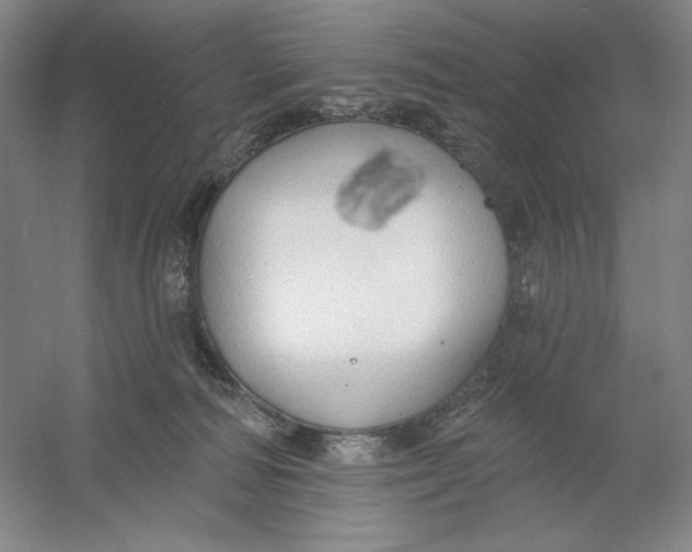 X0000054380226200508270016