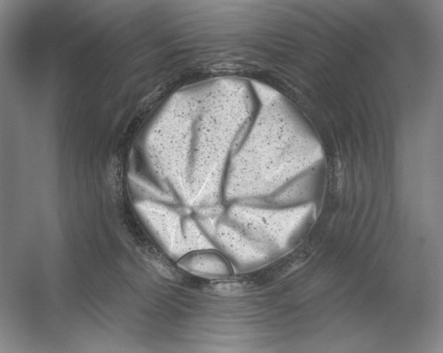 X0000054380228200508270016