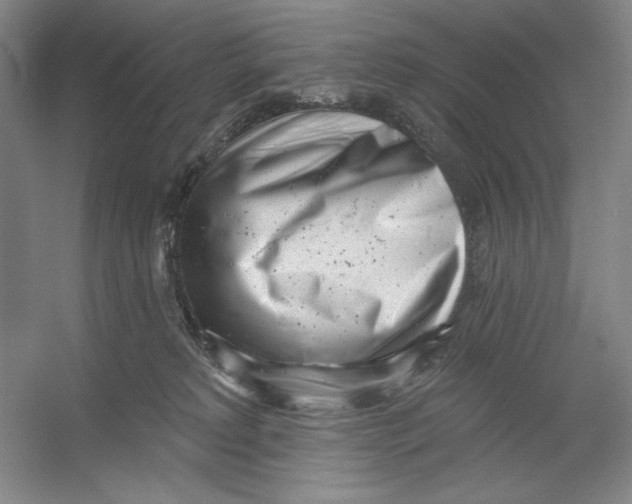 X0000054380229200508270016